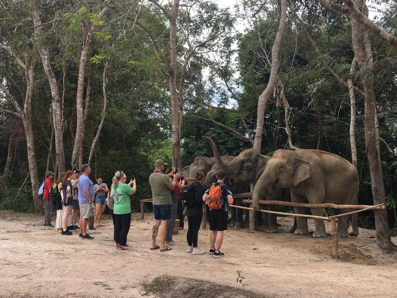 Save the Elephant Day - Kulen ELephant Sanctuary, Cambodia