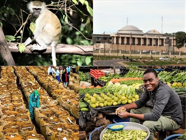 See What Lilongwe Has to Offer For the Adventure Tourist