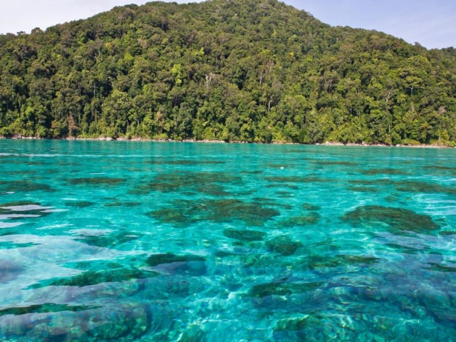 what to do in koh samet - scuba diving and snorkeling