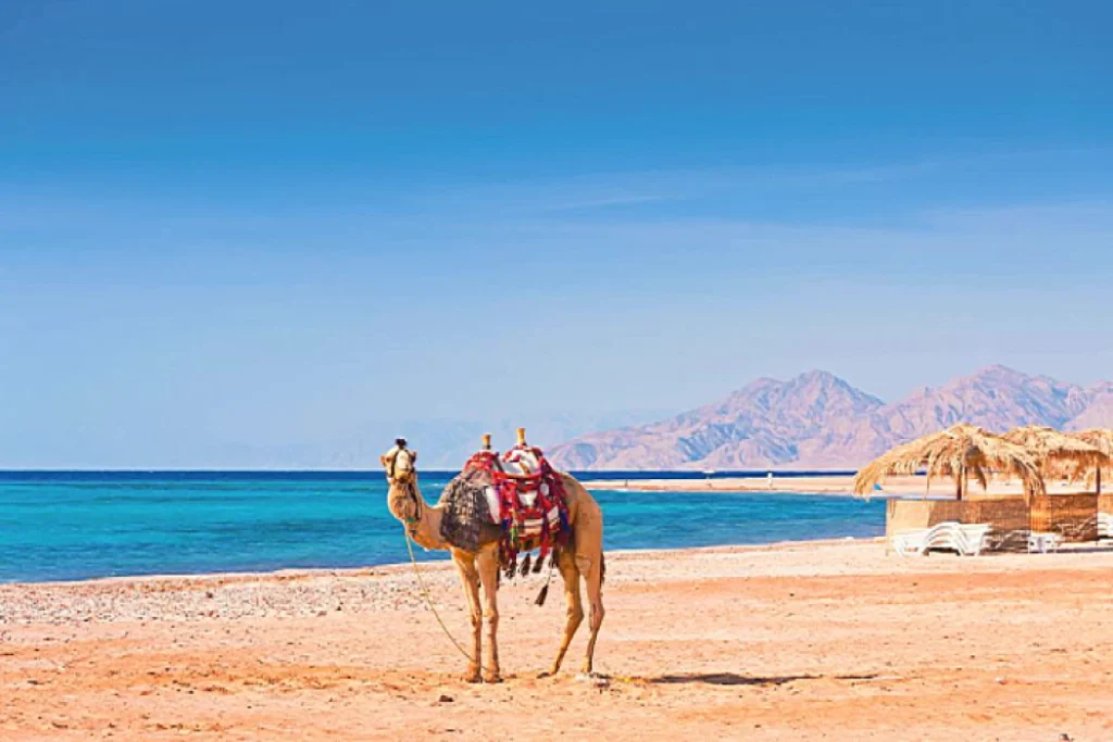 Marsa Alam Tours