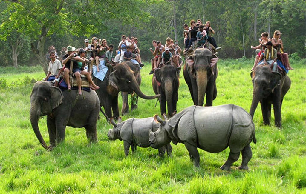 Chitwan Safari