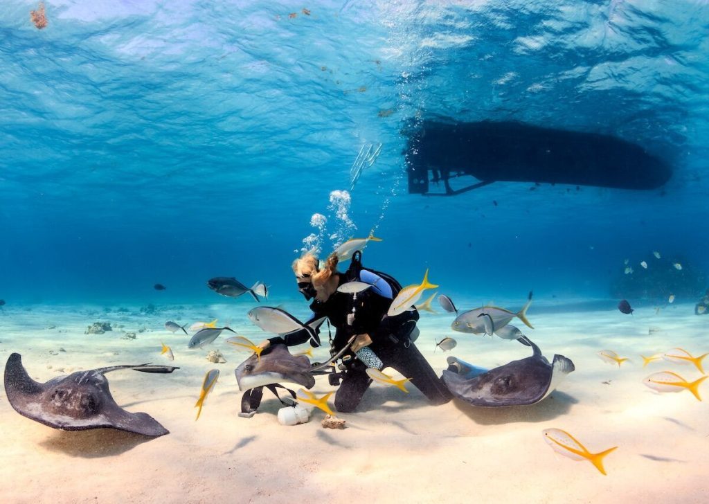 Cayman Islands Diver
